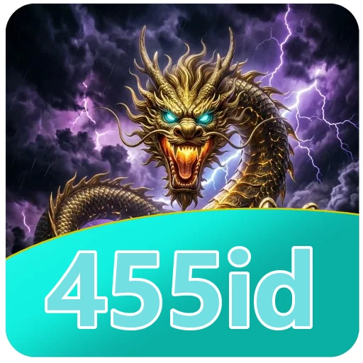 Performa 455id
